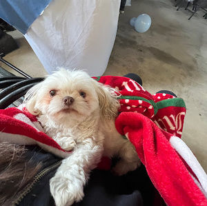 Meet your Posher, Daffeney